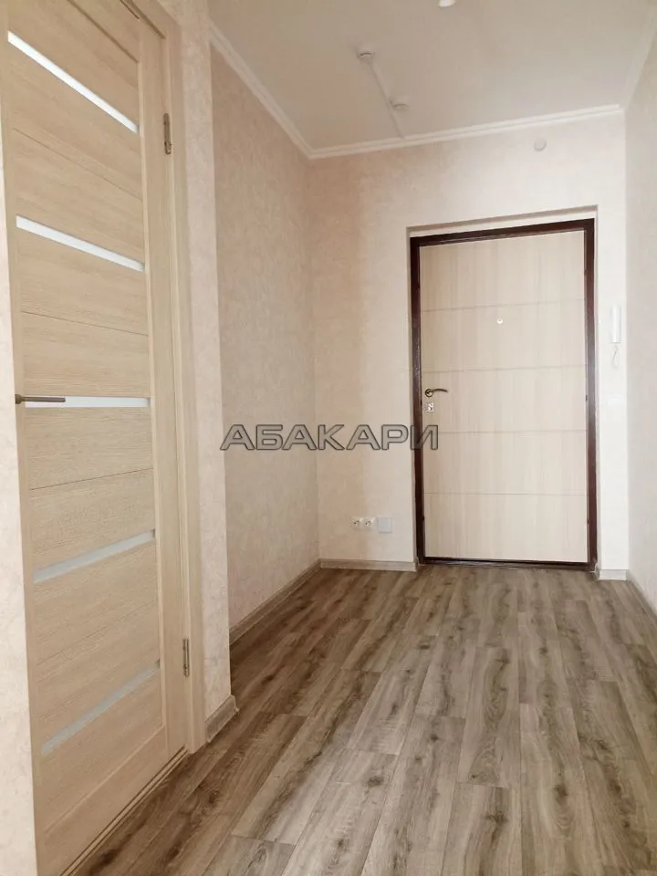 студия Дудинская улица, 2Д  за 30000 руб/мес фото 4