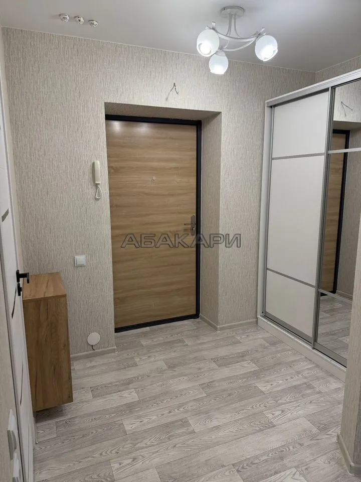 1-комнатная Соколовская улица, 52  за 28000 руб/мес фото 6