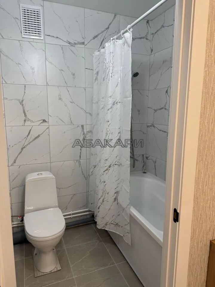 1-комнатная Соколовская улица, 52  за 28000 руб/мес фото 12