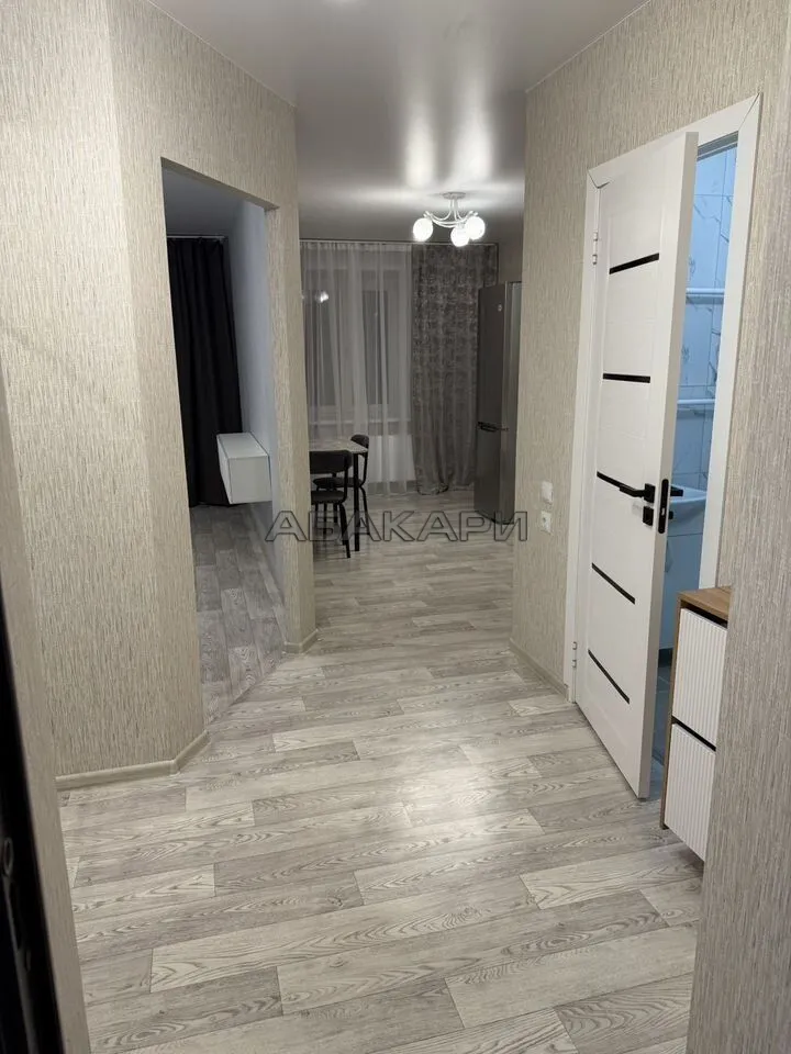 1-комнатная Соколовская улица, 52  за 28000 руб/мес фото 7