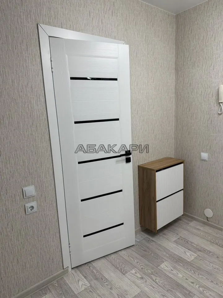 1-комнатная Соколовская улица, 52  за 28000 руб/мес фото 8