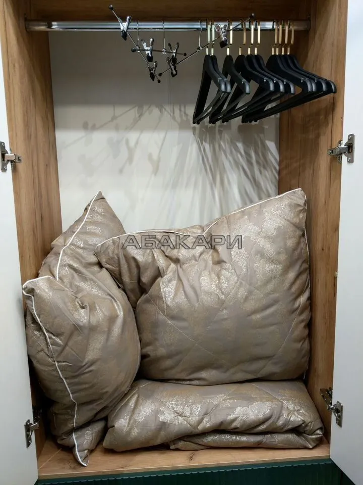 студия Светлогорский переулок, 14  за 45000 руб/мес фото 26