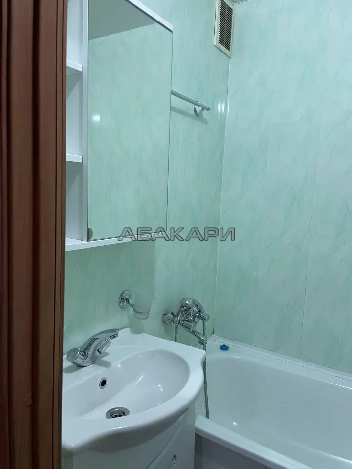 1-комнатная Судостроительная улица, 161  за 29000 руб/мес фото 14