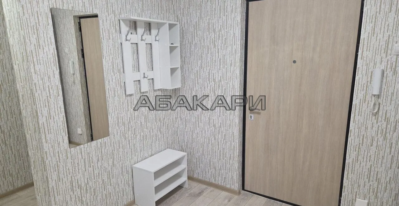 1-комнатная Судостроительная улица, 29Д  за 30000 руб/мес фото 4