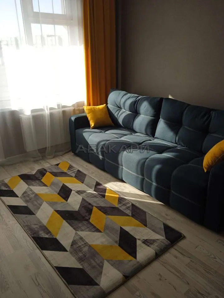 1-комнатная проспект 60 лет Образования СССР, 3К за 35000 руб/мес фото 2 1-комнатная проспект 60 лет Образования СССР, 3К за 35000 руб/мес фото 2