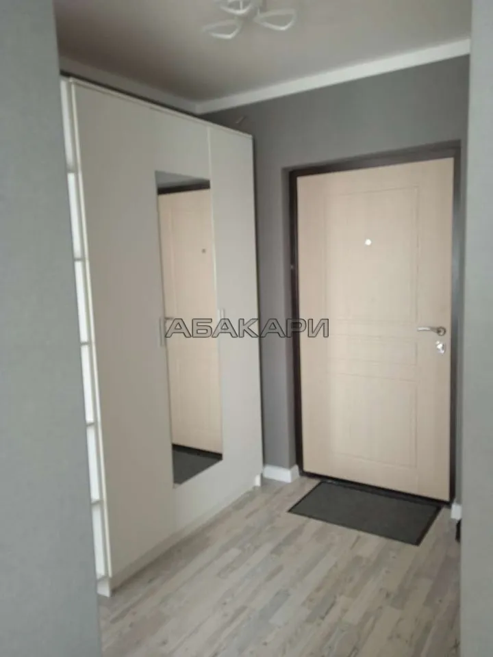 1-комнатная проспект 60 лет Образования СССР, 3К за 35000 руб/мес фото 10 1-комнатная проспект 60 лет Образования СССР, 3К за 35000 руб/мес фото 10