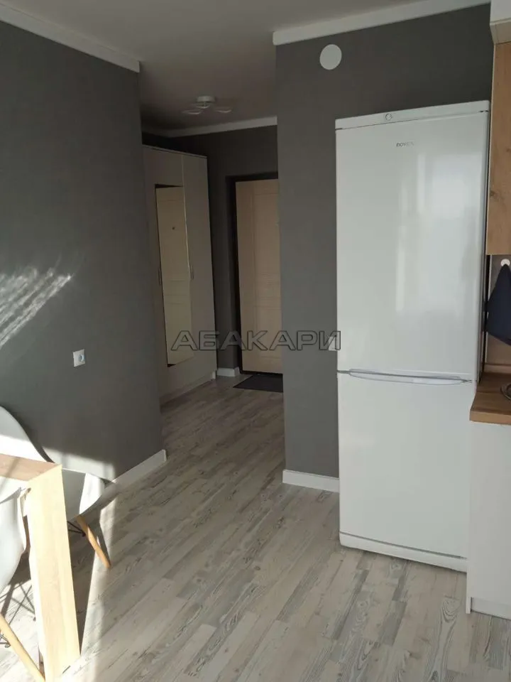 1-комнатная проспект 60 лет Образования СССР, 3К за 35000 руб/мес фото 11 1-комнатная проспект 60 лет Образования СССР, 3К за 35000 руб/мес фото 11