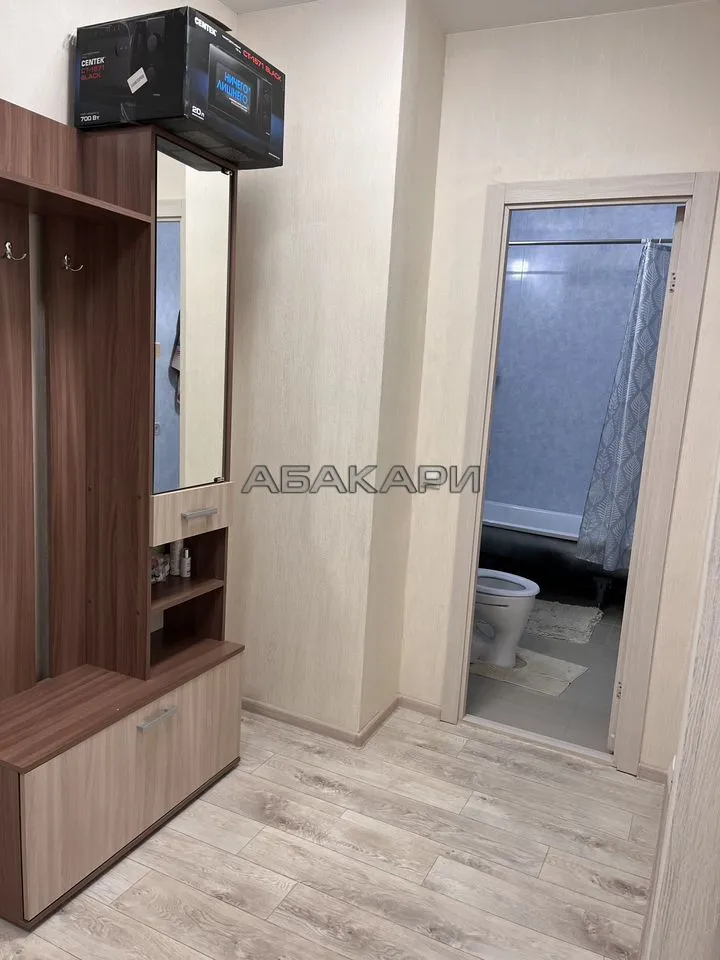 1-комнатная улица Петра Подзолкова, 20 за 31000 руб/мес фото 8 1-комнатная улица Петра Подзолкова, 20 за 31000 руб/мес фото 8