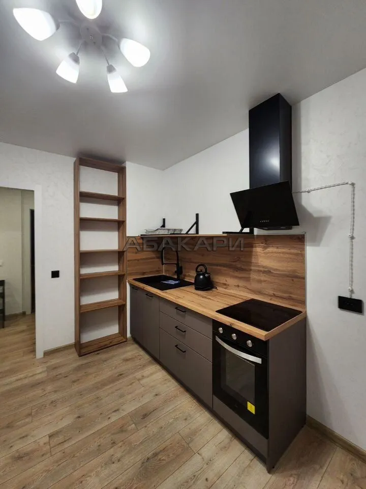 2-комнатная Дудинская улица, 2Е за 40000 руб/мес фото 4 2-комнатная Дудинская улица, 2Е за 40000 руб/мес фото 4