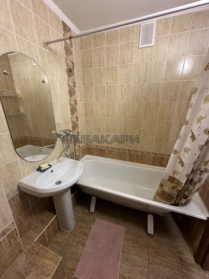 1-комнатная Новосибирская улица, 5  за 30000 руб/мес фото 9