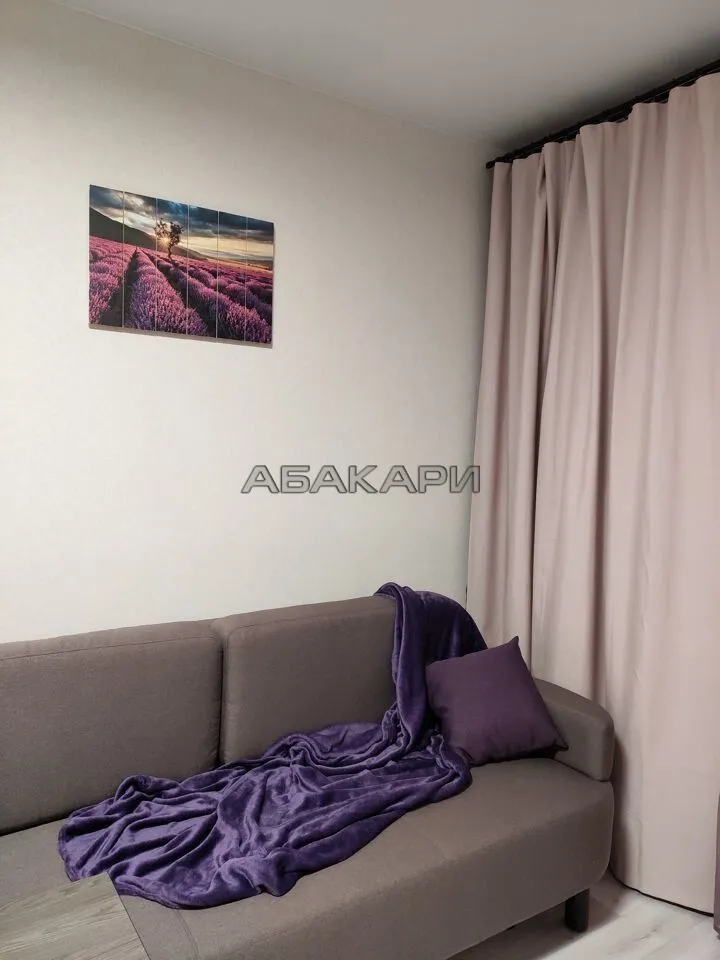 1-комнатная Регатная улица, 2 за 42000 руб/мес фото 7 1-комнатная Регатная улица, 2 за 42000 руб/мес фото 7