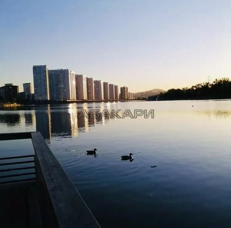 1-комнатная Ярыгинская набережная, 23  за 45000 руб/мес фото 15