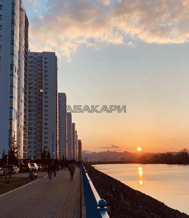 1-комнатная Ярыгинская набережная, 23  за 45000 руб/мес фото 16