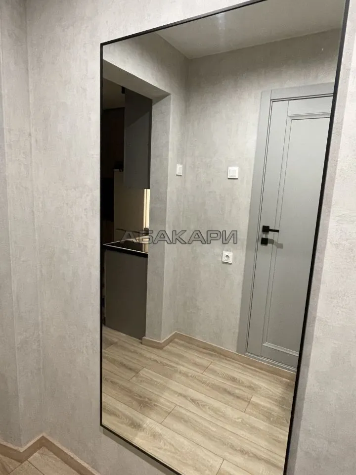 студия Свердловская улица, 15В  за 30000 руб/мес фото 6