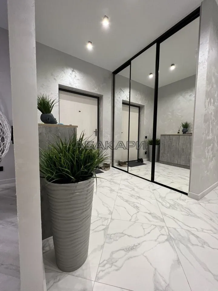 3-комнатная улица Петра Подзолкова, 4  за 85000 руб/мес фото 4