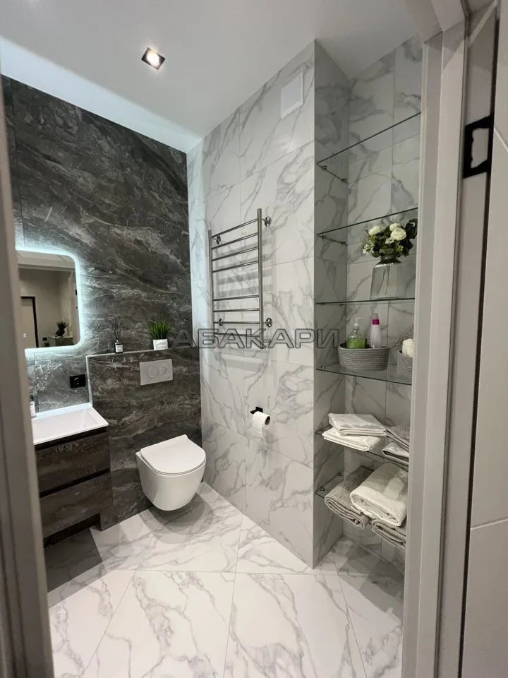 3-комнатная улица Петра Подзолкова, 4  за 85000 руб/мес фото 14