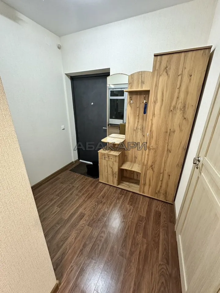 1-комнатная Свердловская улица, 6К  за 35000 руб/мес фото 7