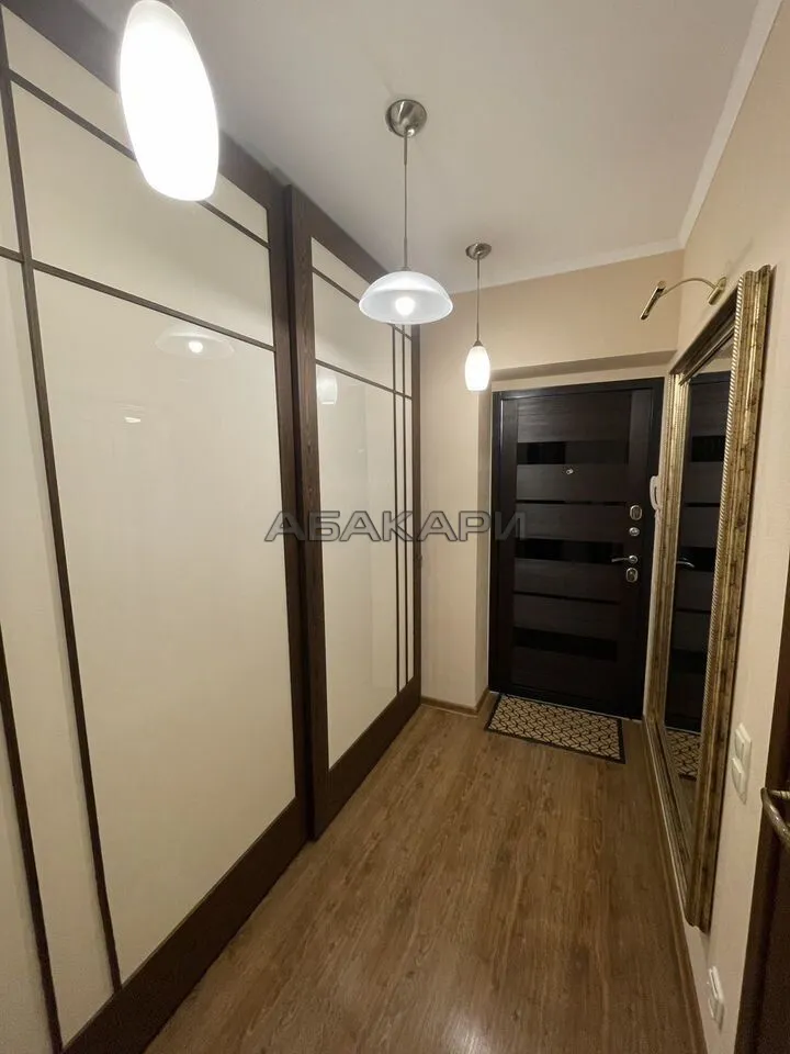 1-комнатная улица Толстого, 17  за 45000 руб/мес фото 11