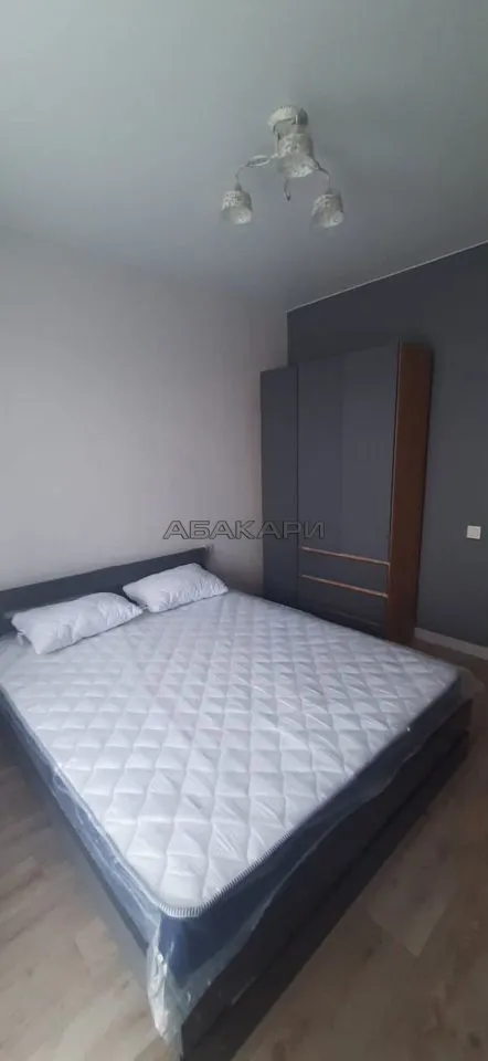 2-комнатная Ярыгинская набережная, 13  за 35000 руб/мес фото 4