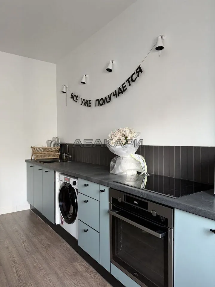 1-комнатная Ярыгинская набережная, 21  за 42000 руб/мес фото 4