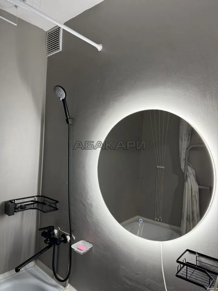 1-комнатная проспект 60 лет Образования СССР, 30  за 30000 руб/мес фото 9