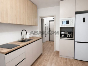 аренда Дубровинского, 110В 1-комнатная 55000