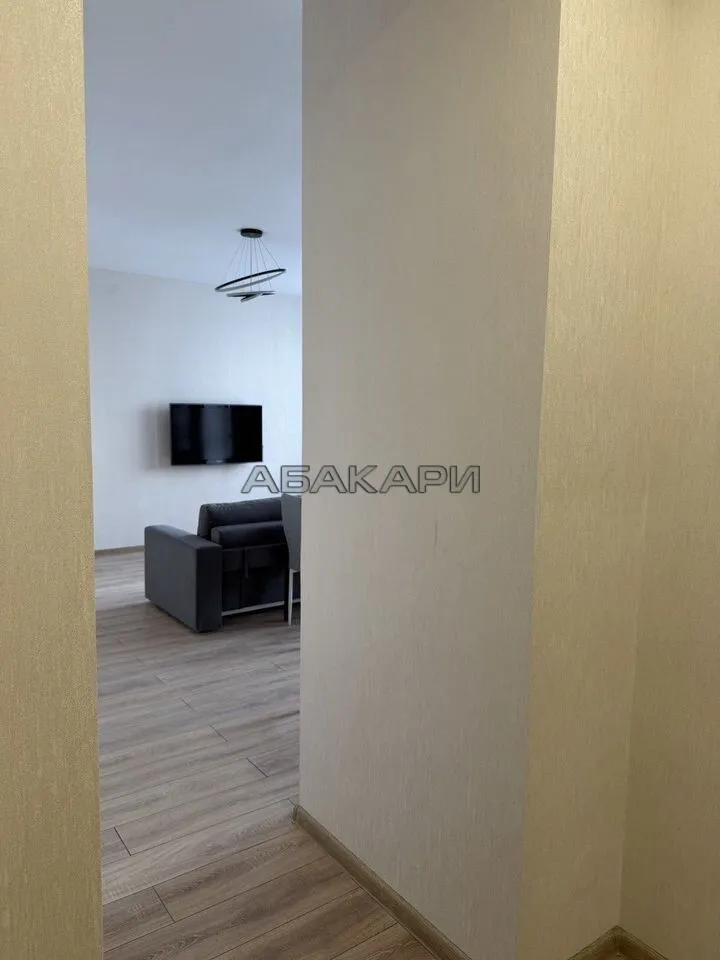 2-комнатная улица Петра Подзолкова, 10  за 45000 руб/мес фото 11