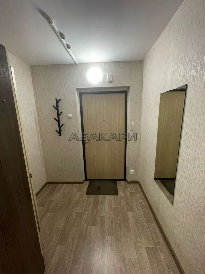 студия Светлогорский переулок, 12А  за 30000 руб/мес фото 6