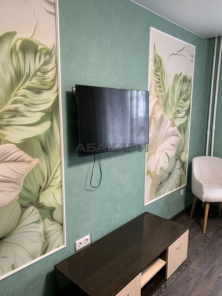 1-комнатная Светлогорский переулок, 10Б  за 30000 руб/мес фото 4