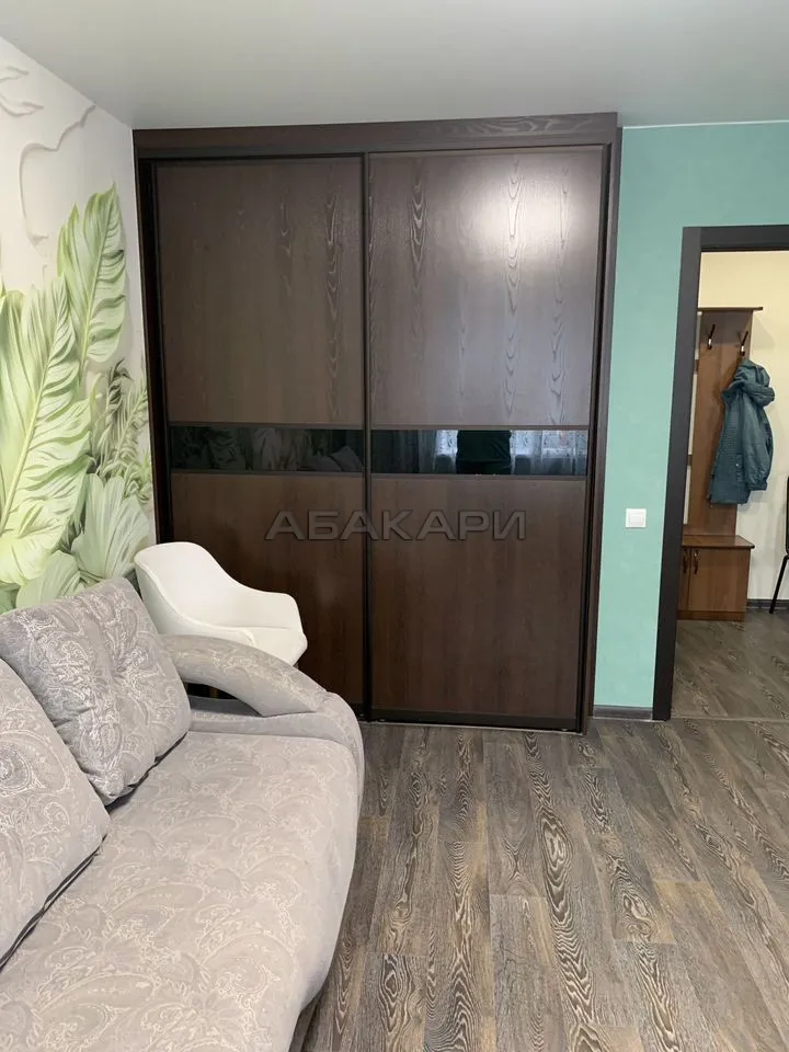 1-комнатная Светлогорский переулок, 10Б  за 30000 руб/мес фото 6