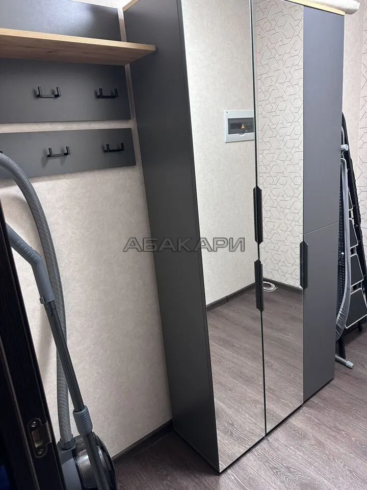 1-комнатная улица 9 Мая, 73  за 40000 руб/мес фото 6