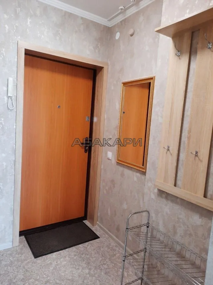 студия Лесопарковая улица, 33  за 30000 руб/мес фото 15