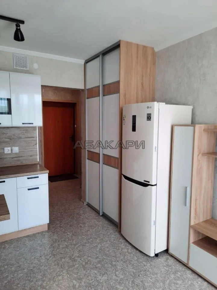 студия Лесопарковая улица, 33  за 30000 руб/мес фото 6