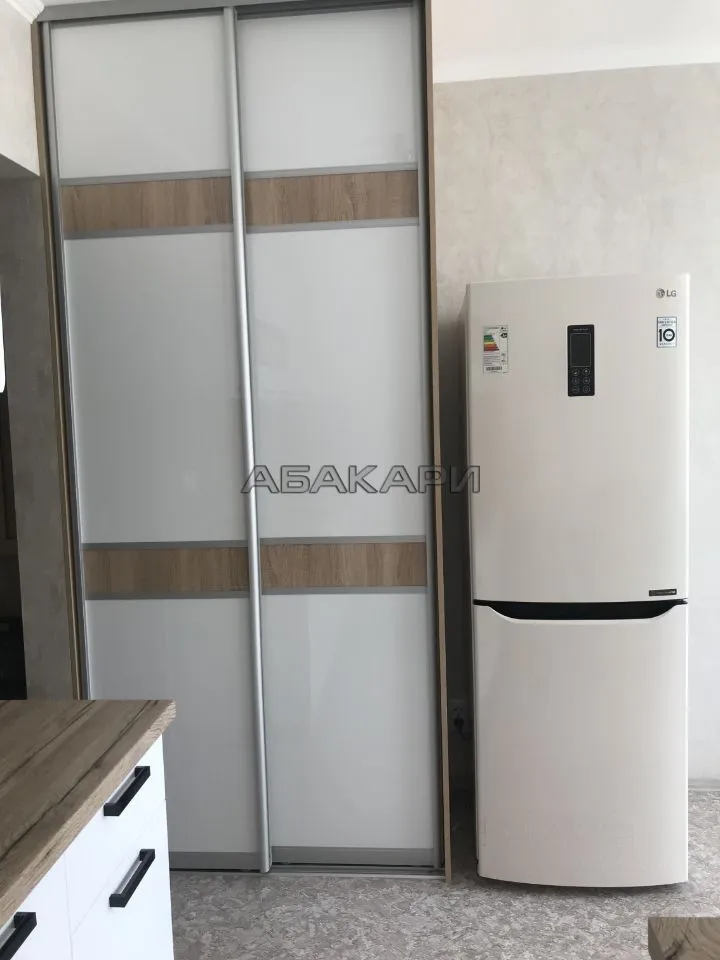 студия Лесопарковая улица, 33  за 30000 руб/мес фото 10