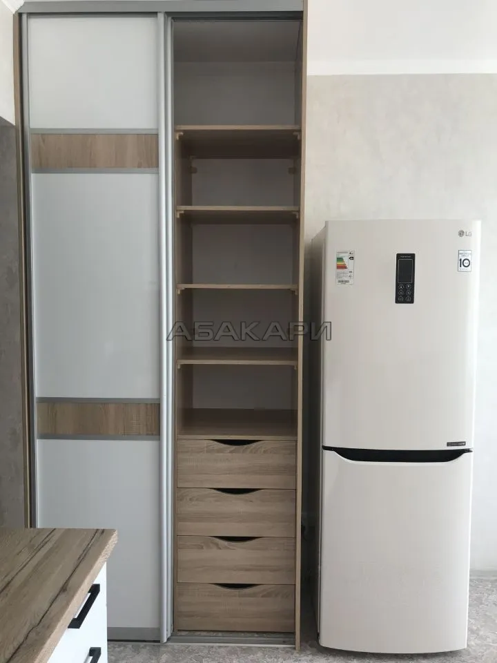 студия Лесопарковая улица, 33  за 30000 руб/мес фото 11