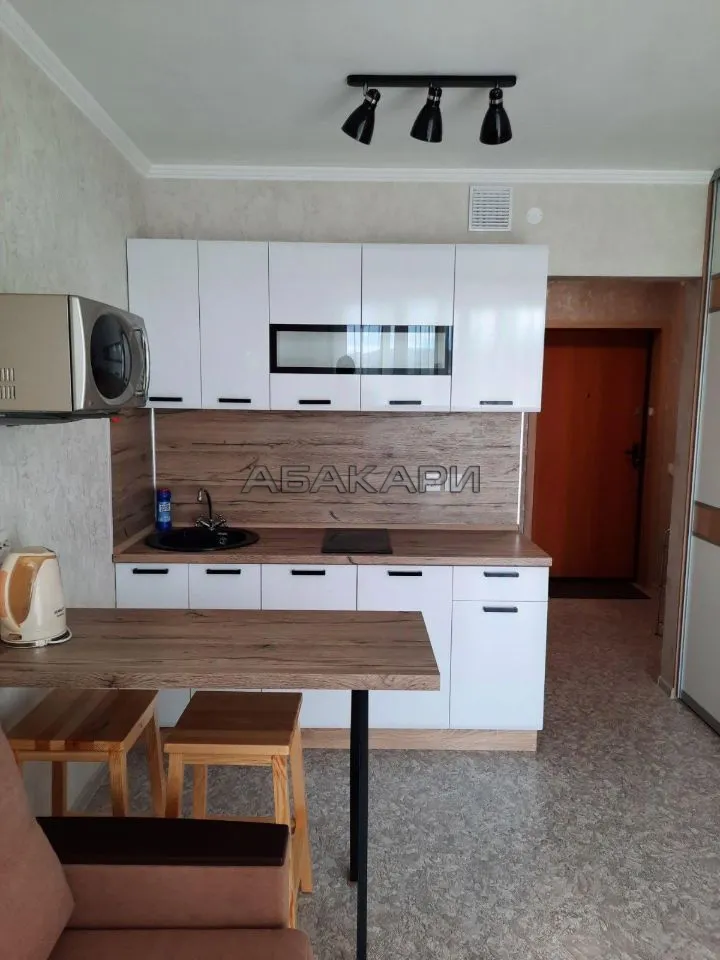 студия Лесопарковая улица, 33  за 30000 руб/мес фото 3