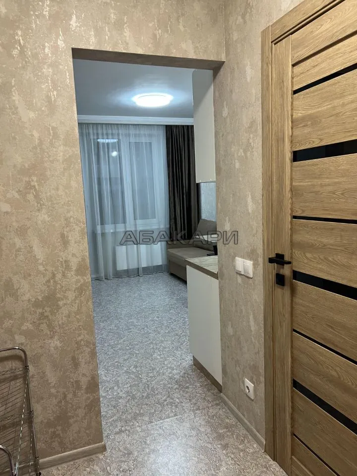 студия Лесопарковая улица, 33  за 30000 руб/мес фото 9