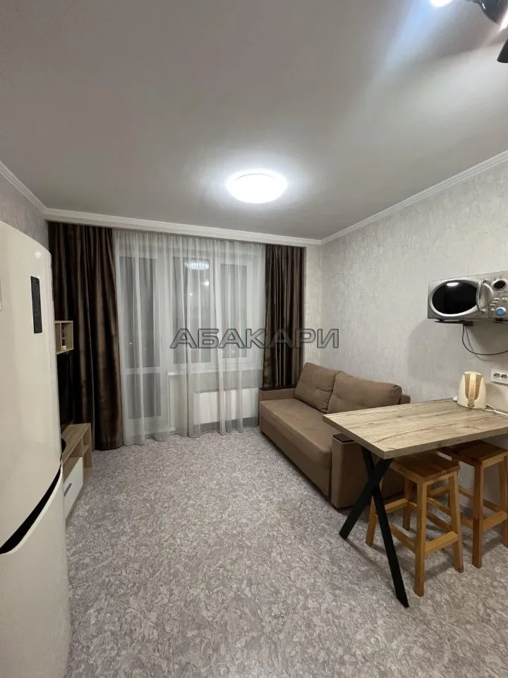 студия Лесопарковая улица, 33  за 30000 руб/мес фото 7