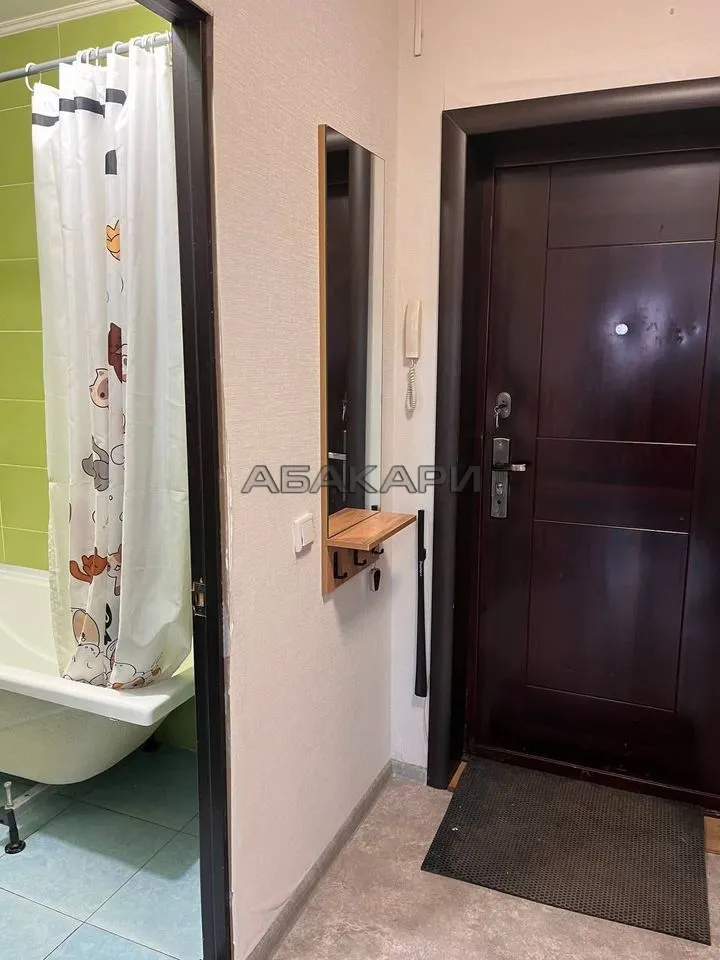 1-комнатная улица Любы Шевцовой, 80  за 26000 руб/мес фото 9