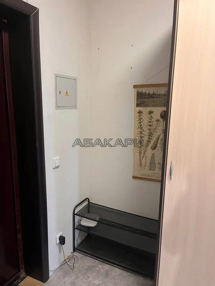 1-комнатная улица Любы Шевцовой, 80  за 26000 руб/мес фото 12