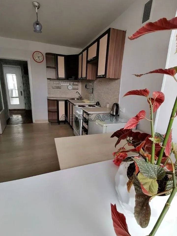 1-комнатная улица Петра Словцова, 4  за 22000 руб/мес фото 1