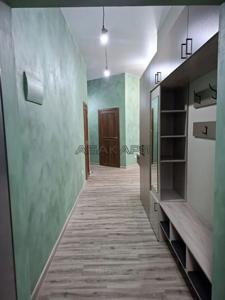 3-комнатная улица Петра Подзолкова, 12  за 55000 руб/мес фото 2