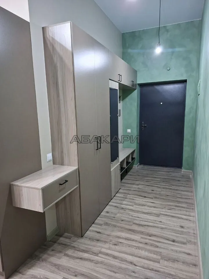 3-комнатная улица Петра Подзолкова, 12  за 55000 руб/мес фото 3