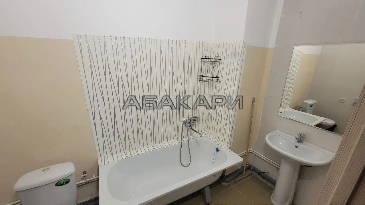 1-комнатная Караульная улица, 39В  за 30000 руб/мес фото 6