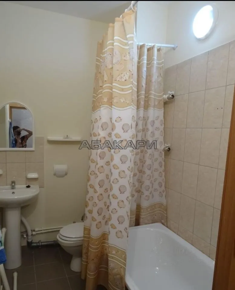 студия улица Борисова, 30  за 25000 руб/мес фото 5