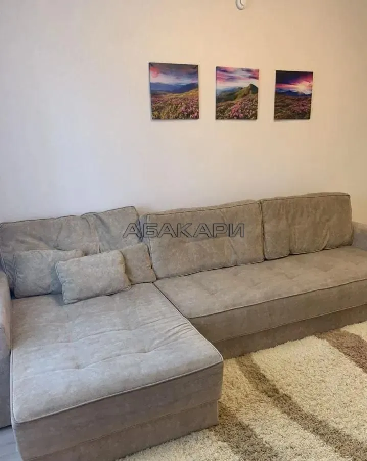 2-комнатная улица Академгородок, 68  за 45000 руб/мес фото 3