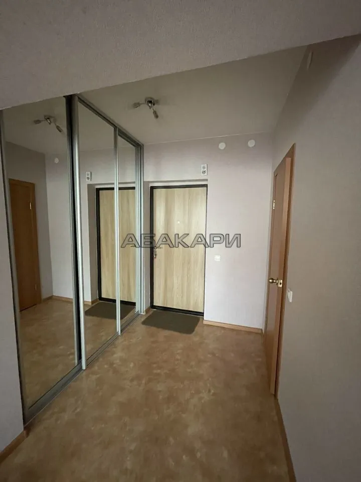 студия улица Елены Стасовой, 38Г  за 25000 руб/мес фото 1