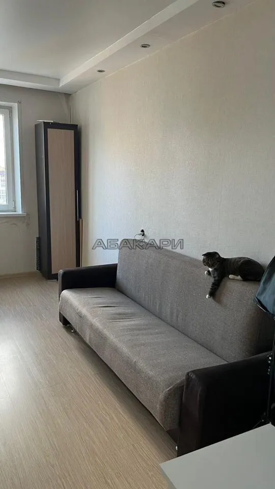 1-комнатная улица Чернышевского, 104  за 28000 руб/мес фото 2