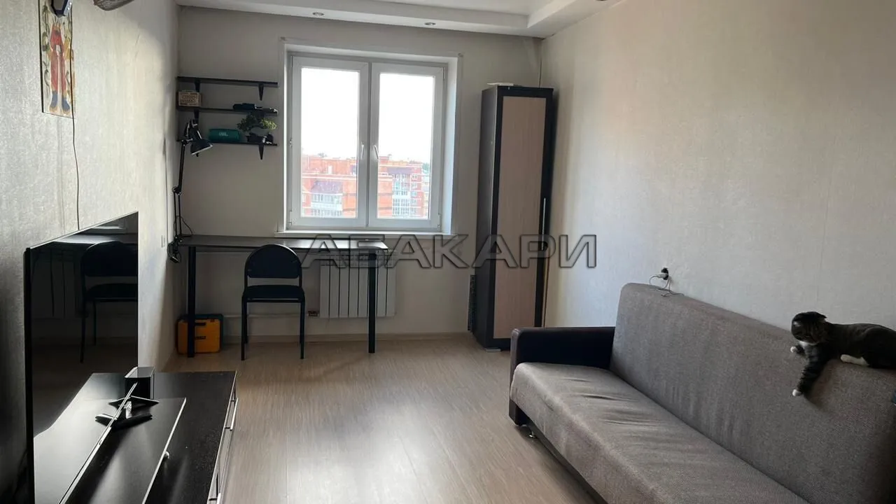 1-комнатная улица Чернышевского, 104  за 28000 руб/мес фото 3