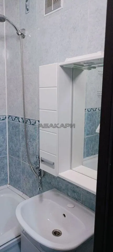 1-комнатная улица Алексеева, 103  за 28000 руб/мес фото 6
